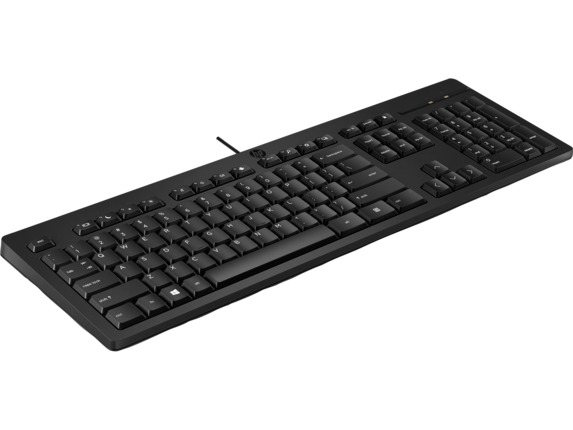 HP 125 Wired Keyboard 