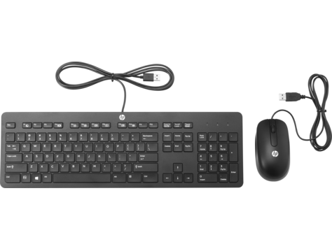 HP Slim USB Keyboard und Mouse 
