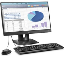 HP All-in-One Zero Client t310 G2 AIO 23,8" 